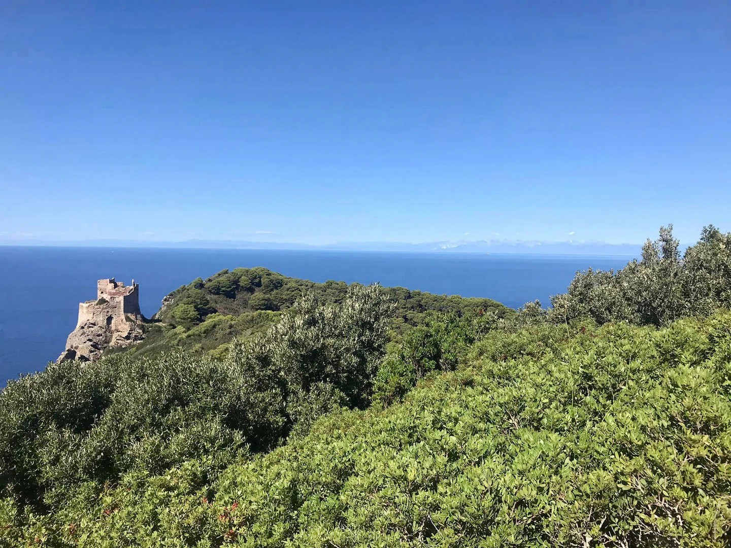Gorgona Island panorama