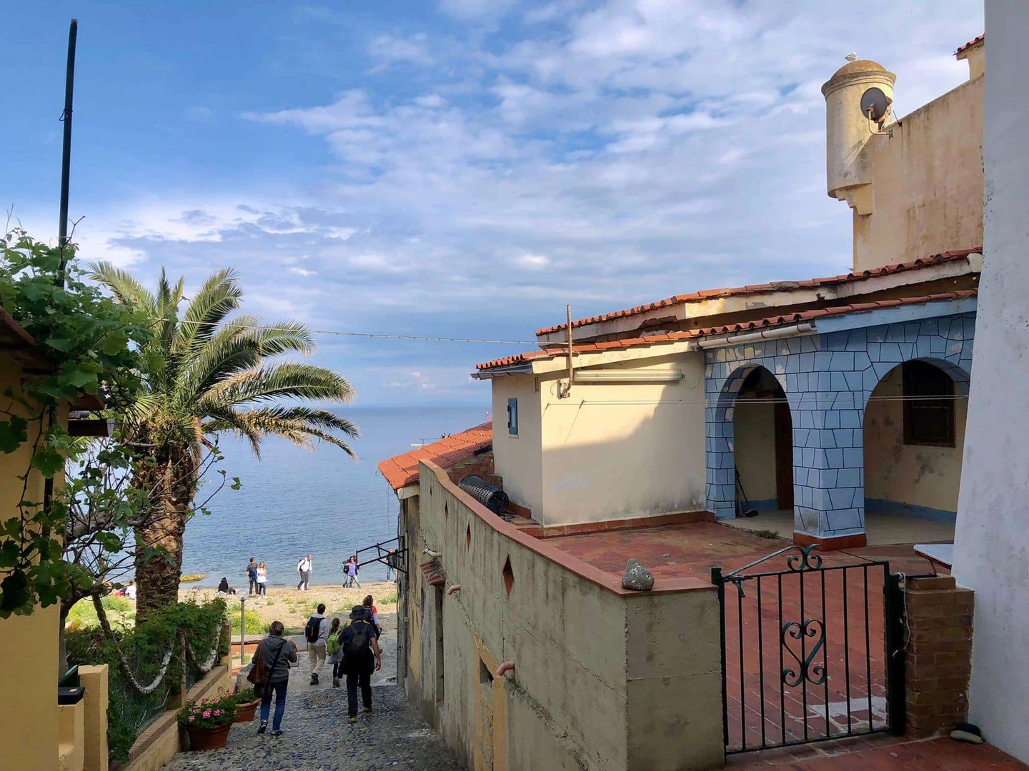 Gorgona Island panorama