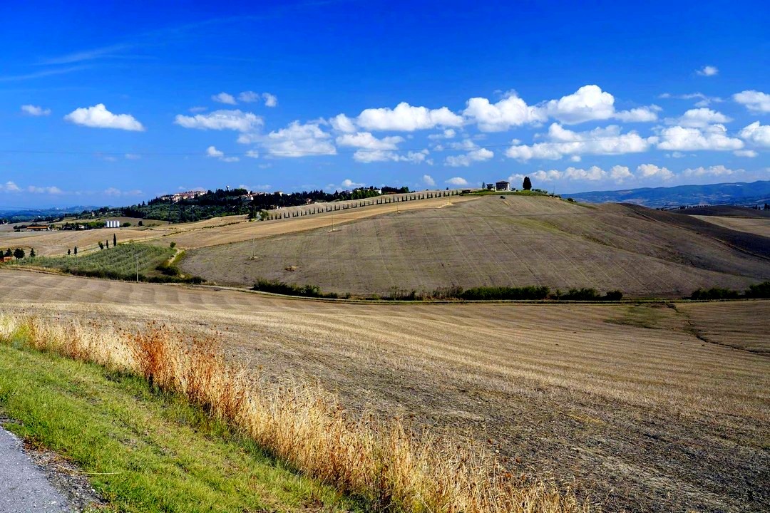 Lajatico