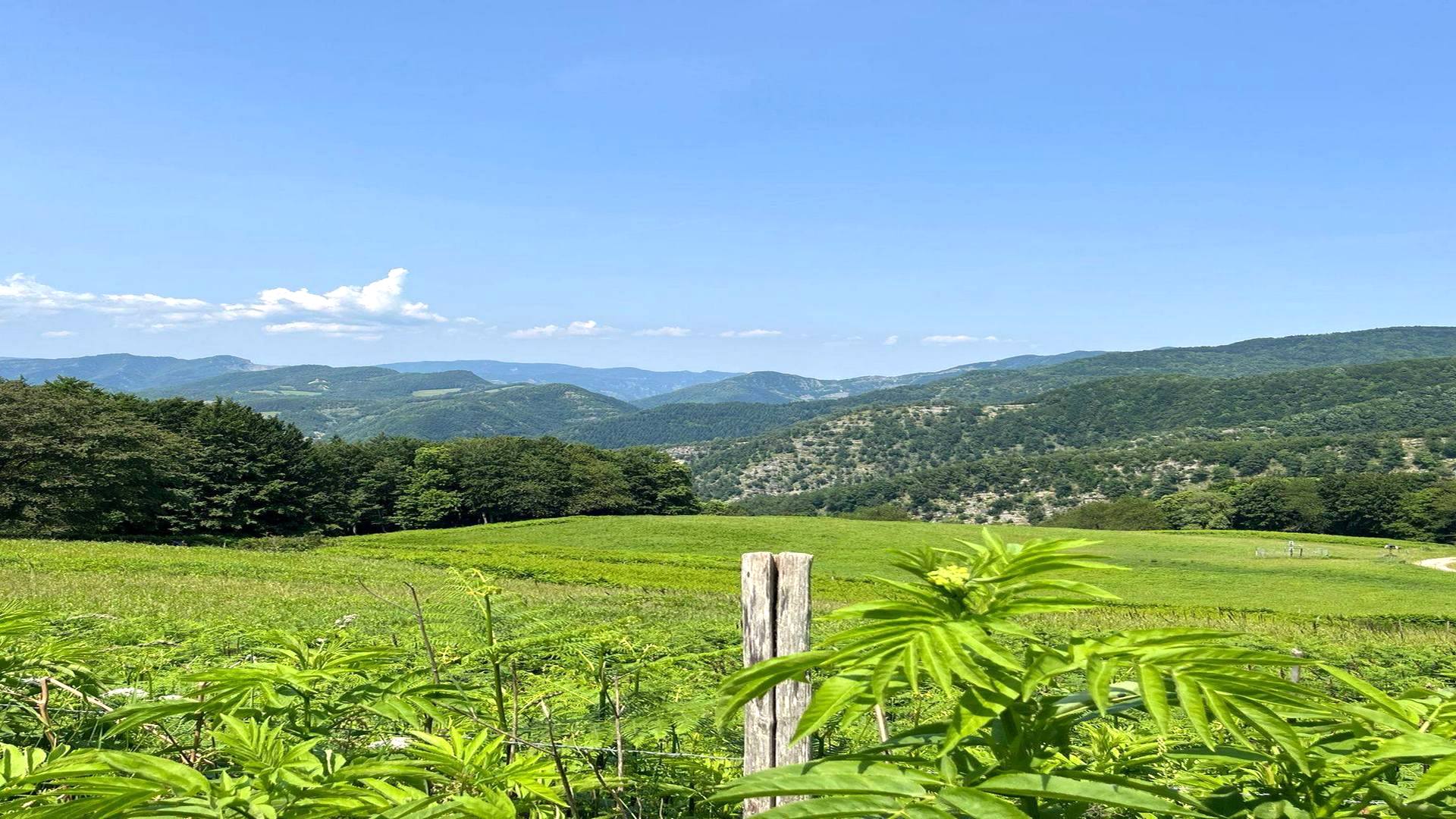 Val di Cornia
