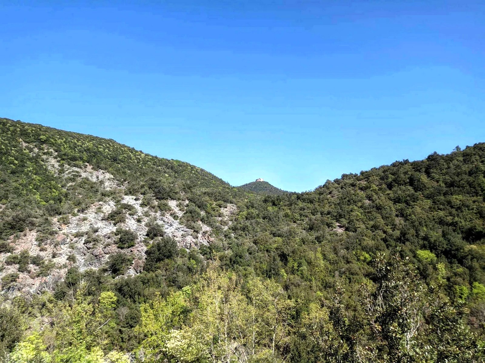 foto strade campagna di san carlo comune di san vincenzo