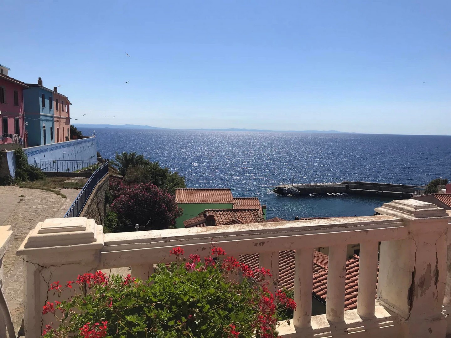 foto vista panoramica isola di gorgona