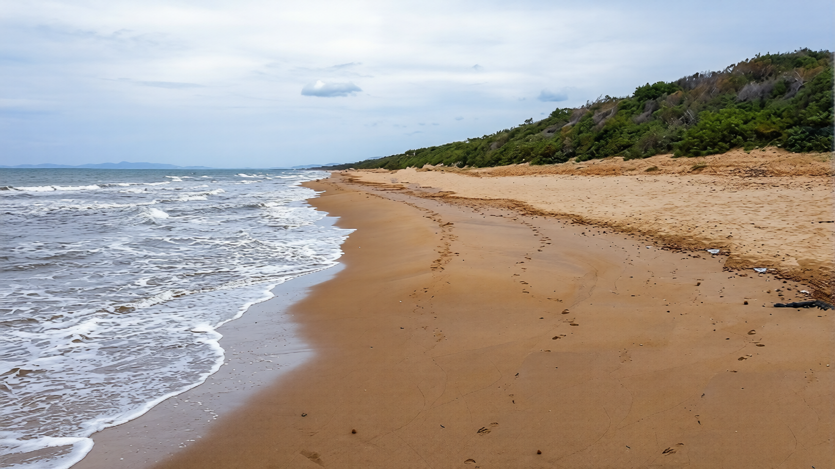 spiaggia della conchiglia nord san vincenzo
