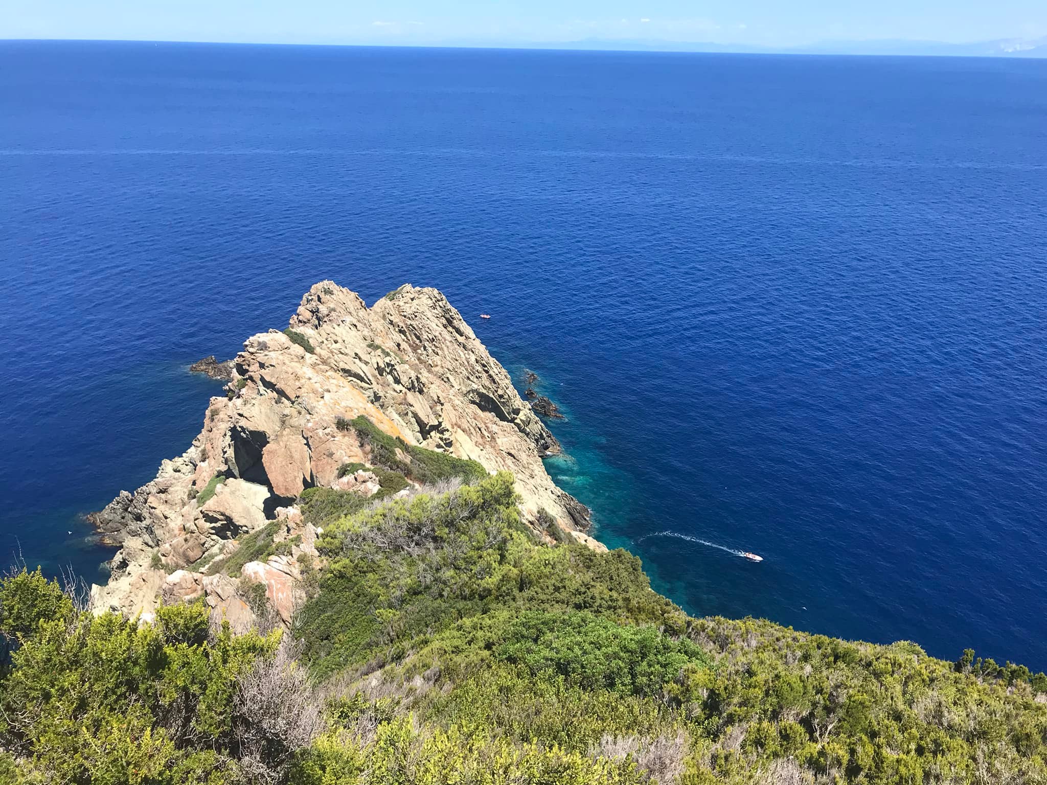 Insel Gorgona