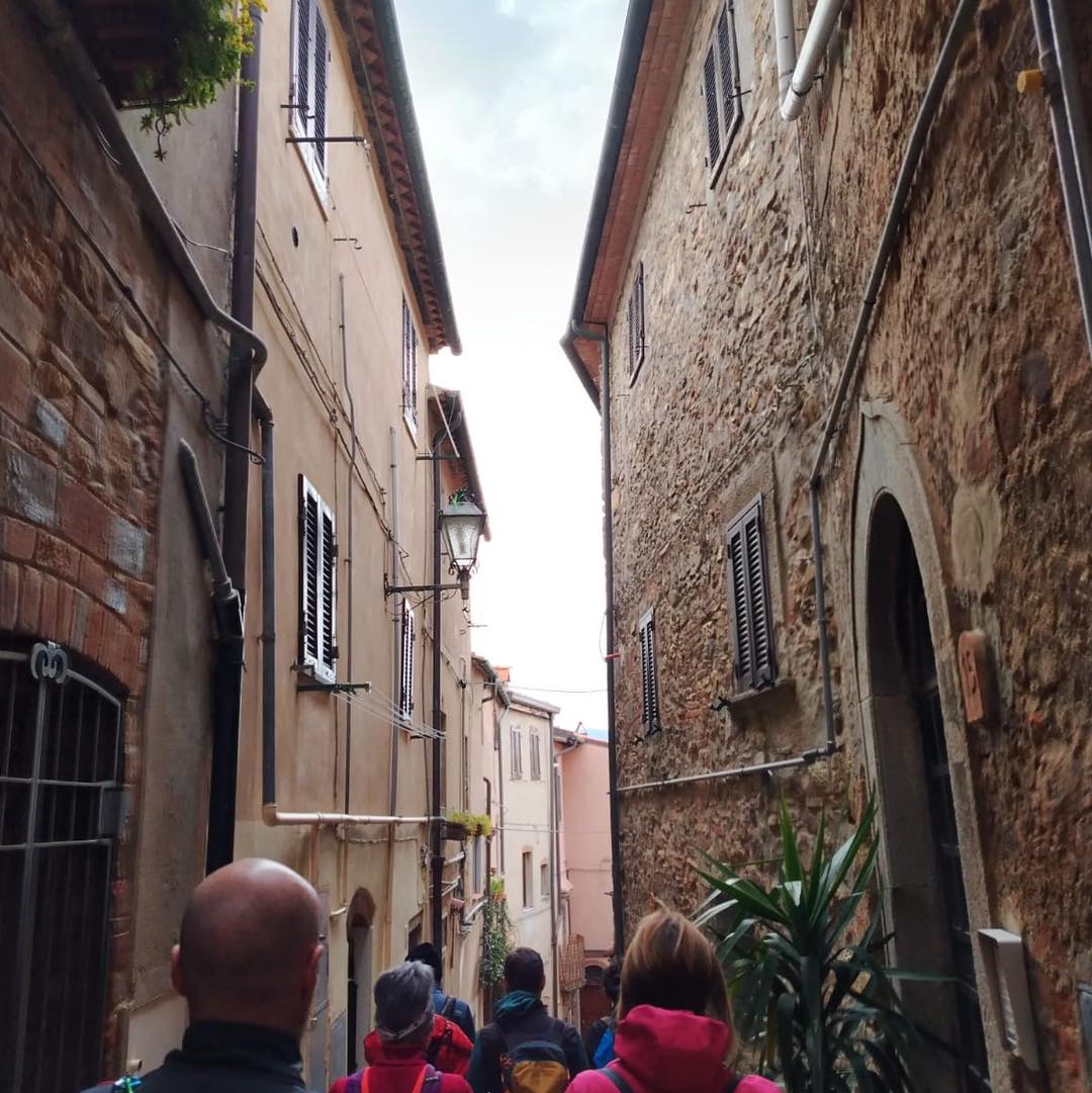 Bolgheri