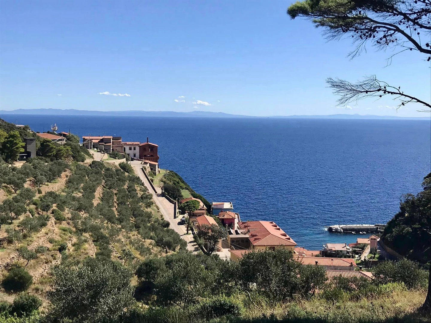 foto isola di gorgona