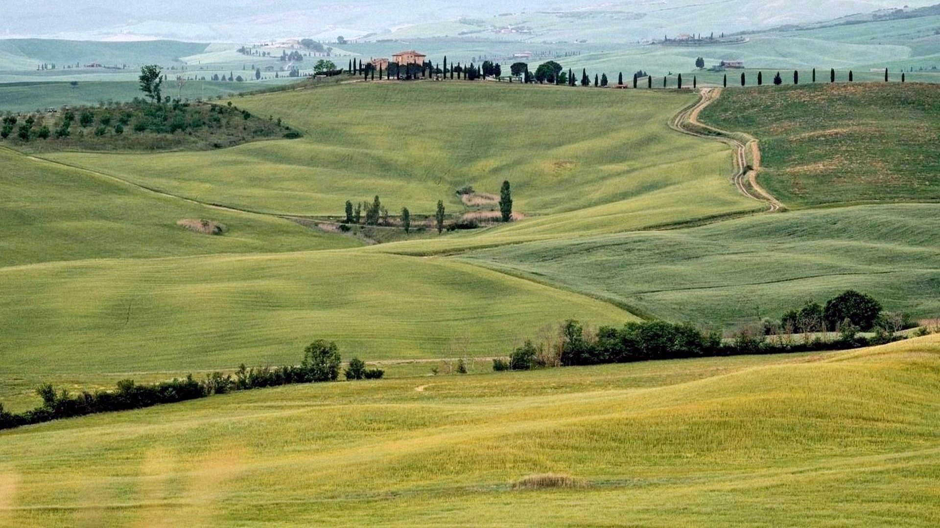Castagneto Carducci