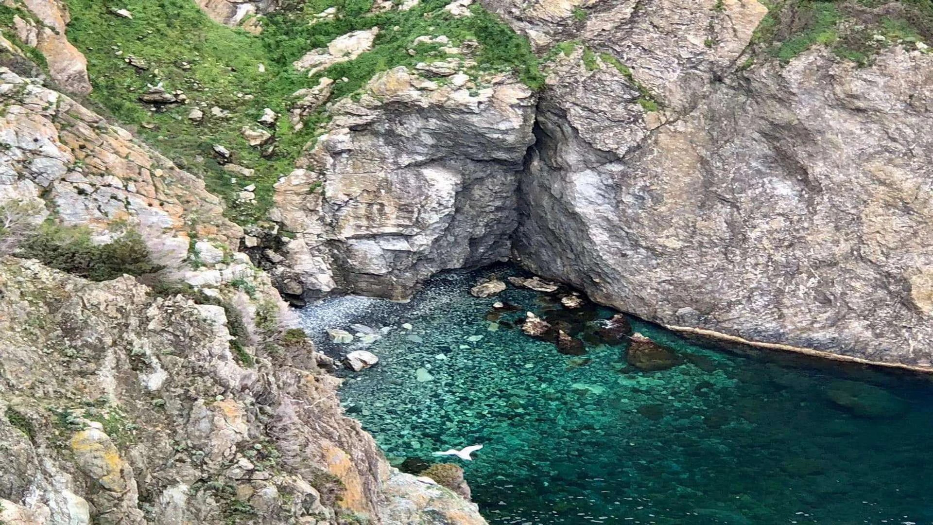 foto isola di gorgona
