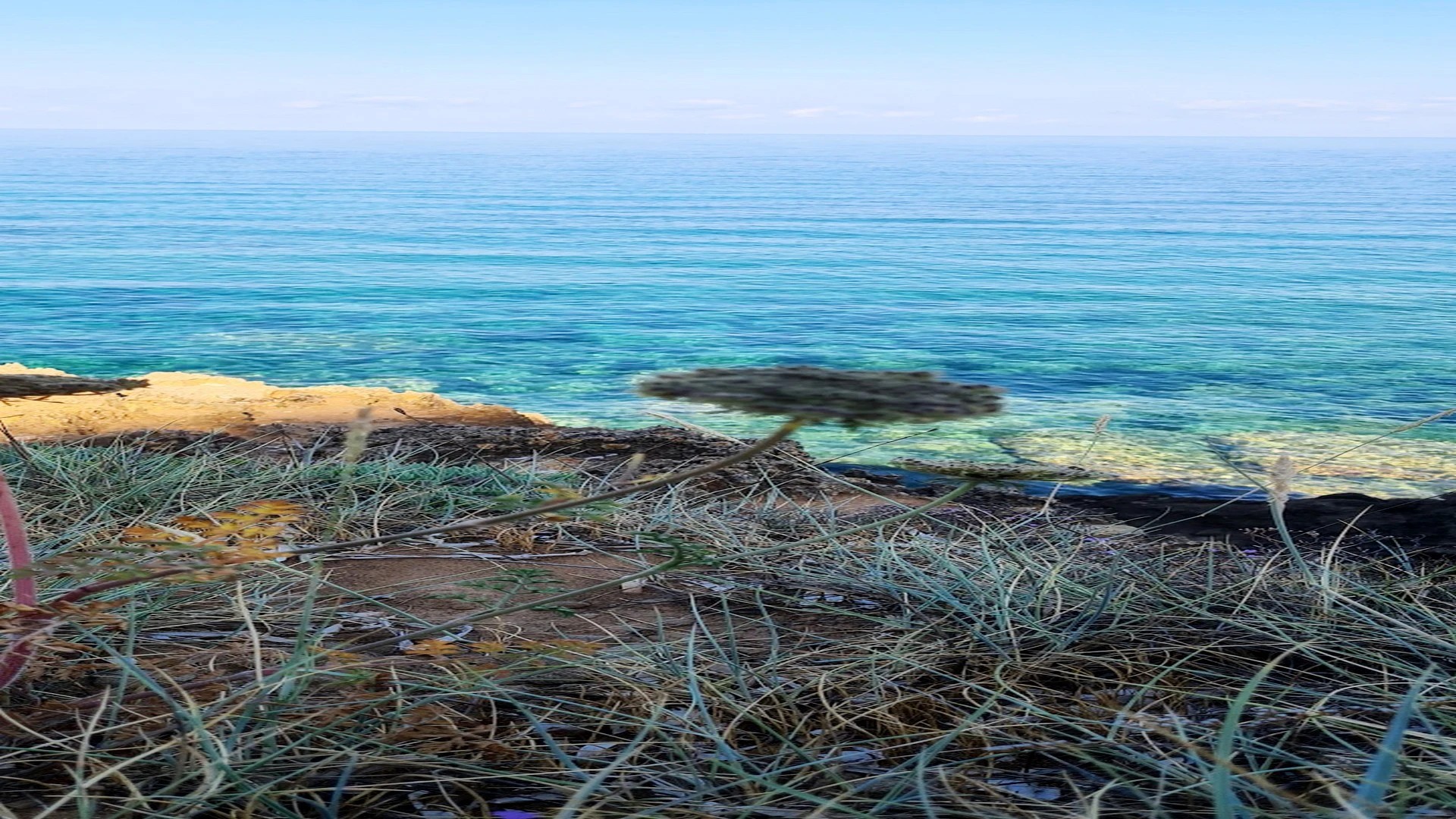 Cala Lauro