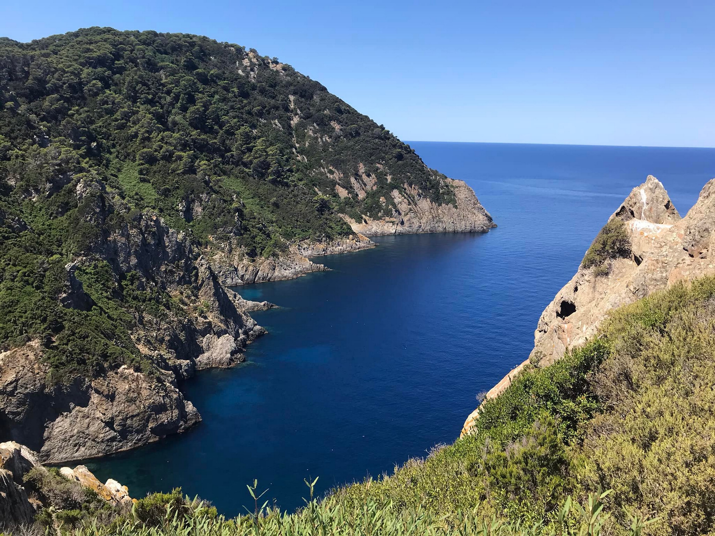 Isola Gorgona