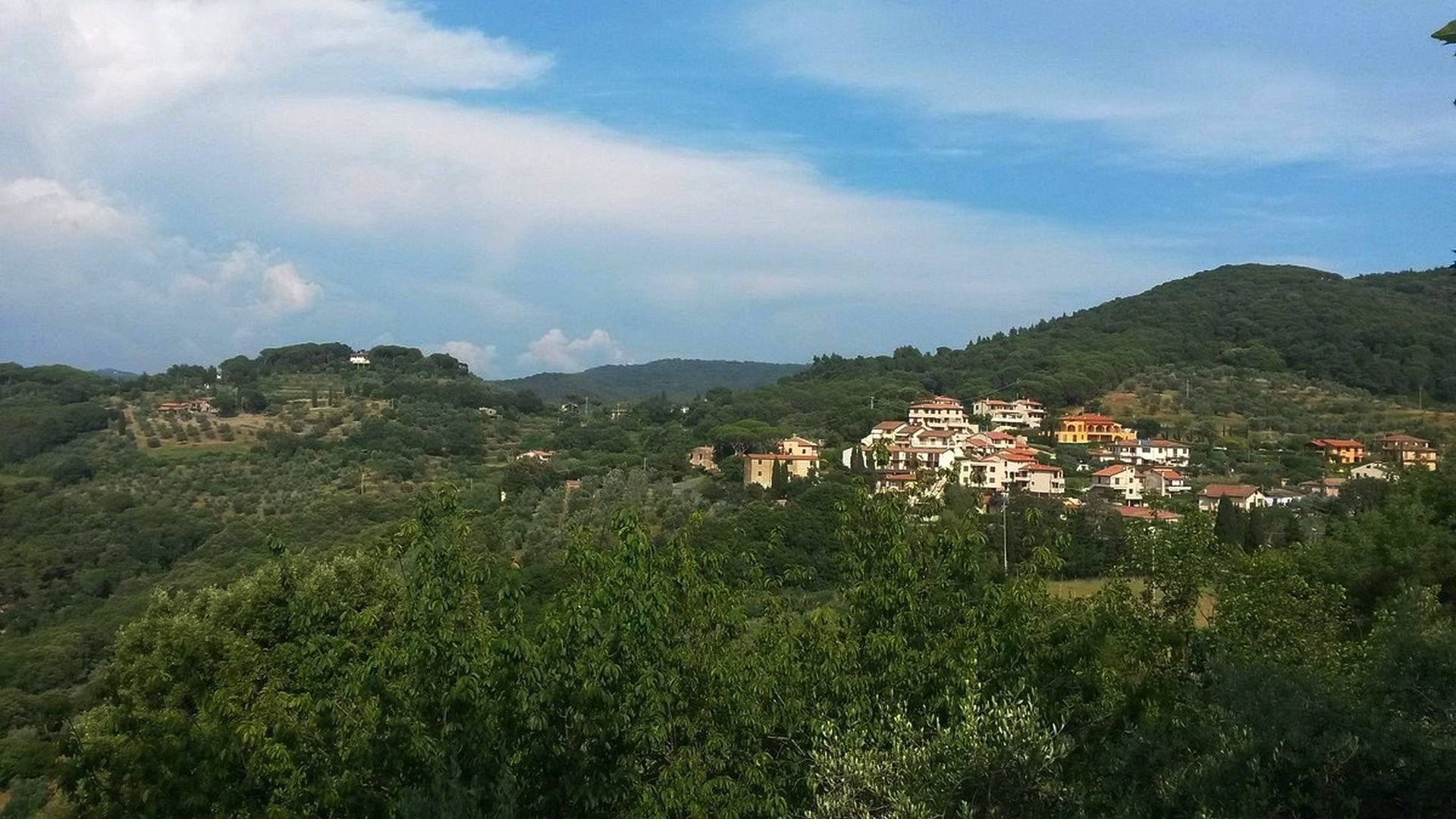 Sassetta