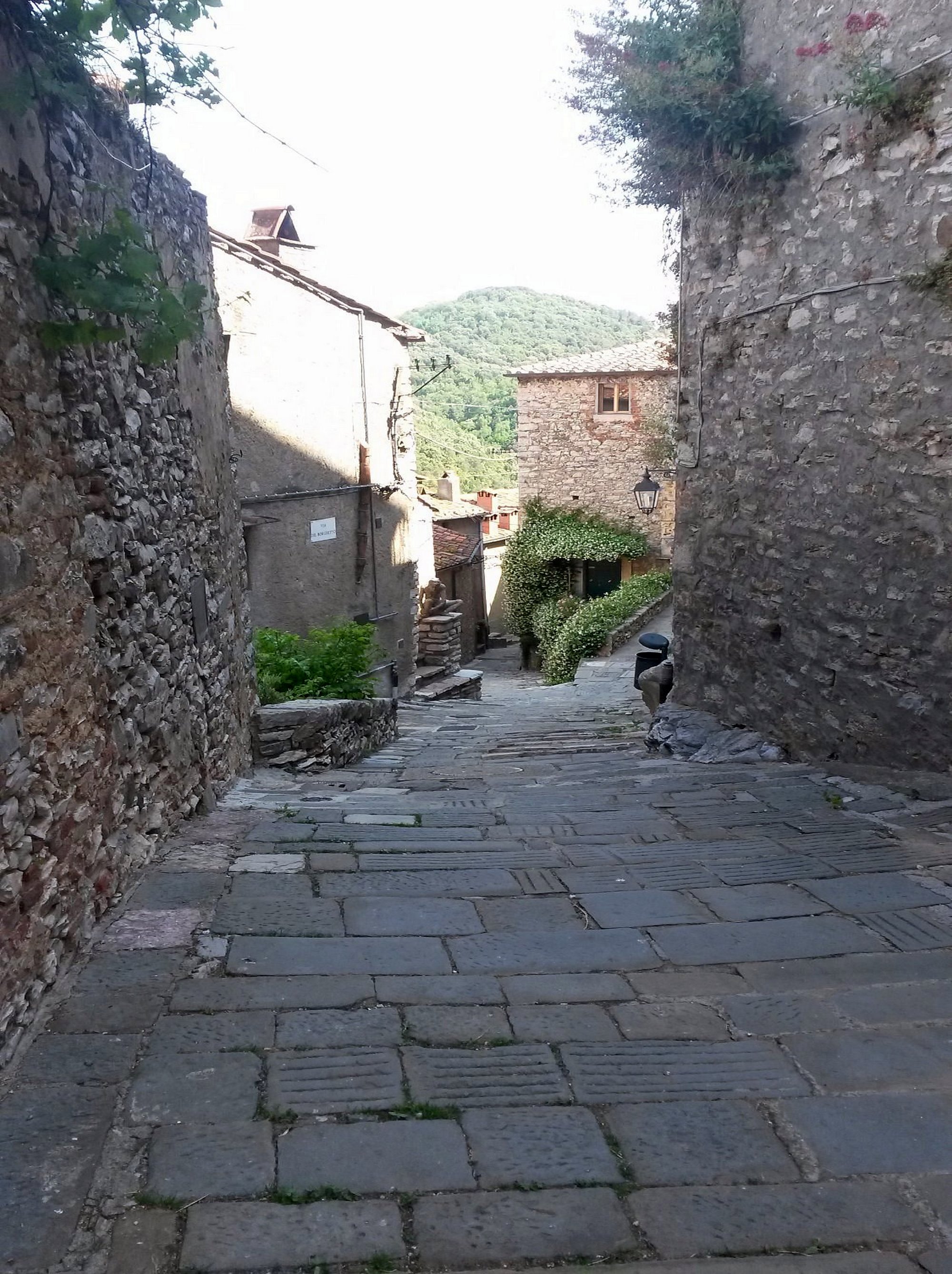 Sassetta
