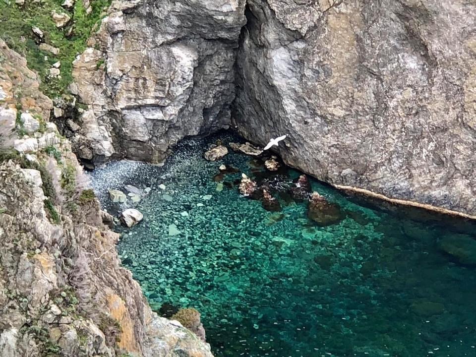 Gorgona Island