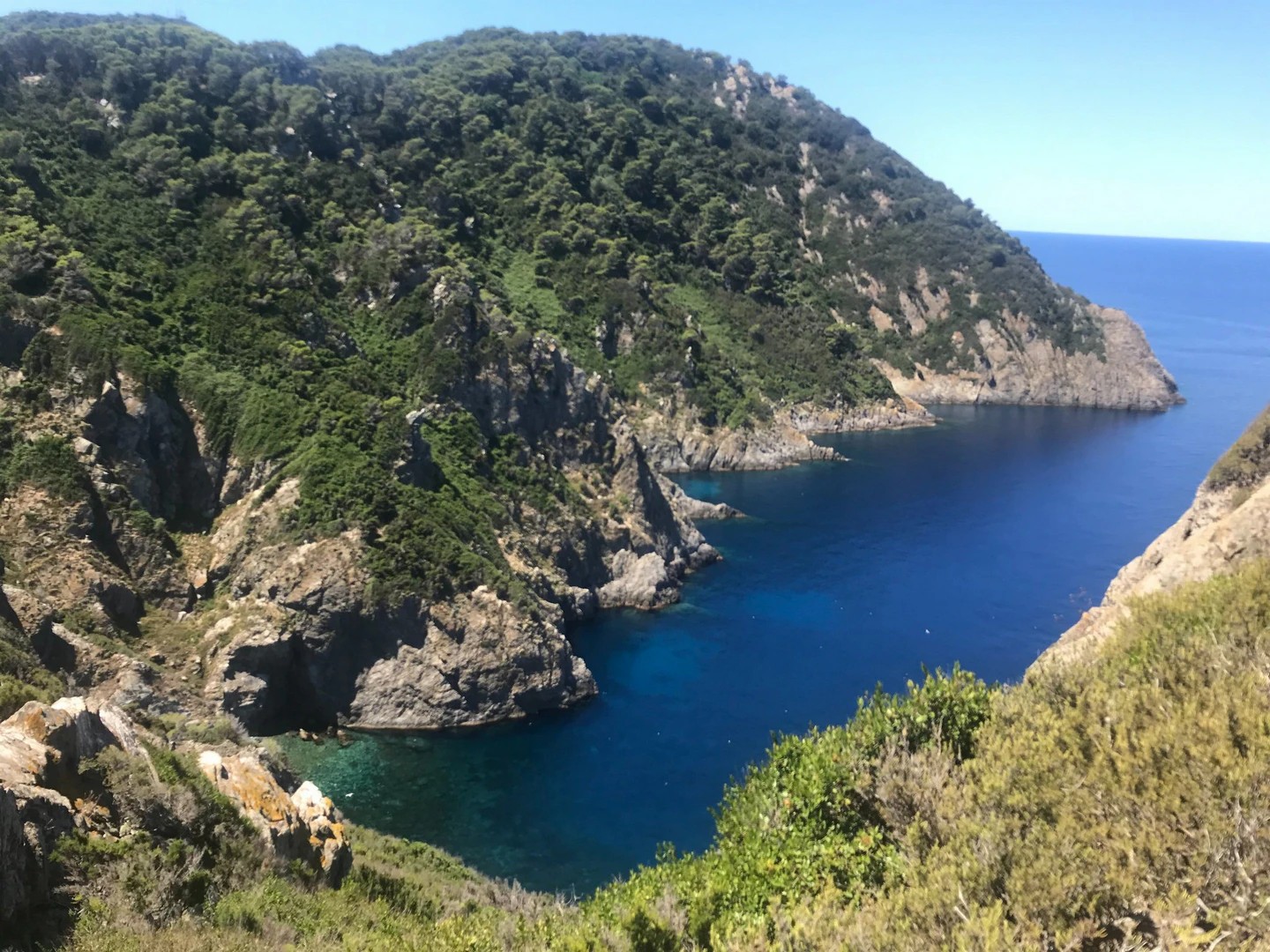 foto caletta isola di gorgona