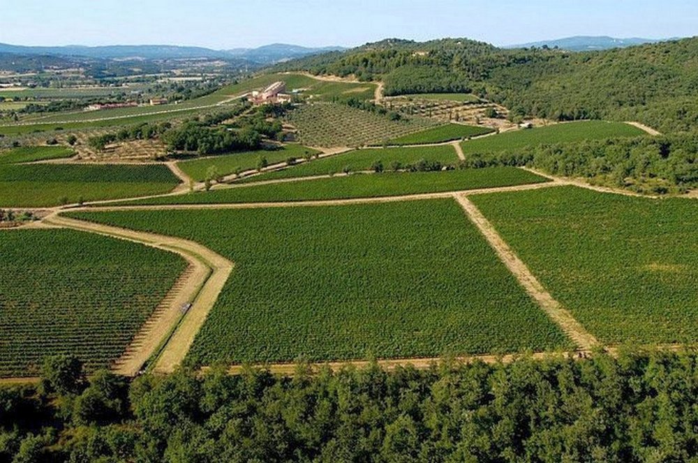 Suvereto panorama
