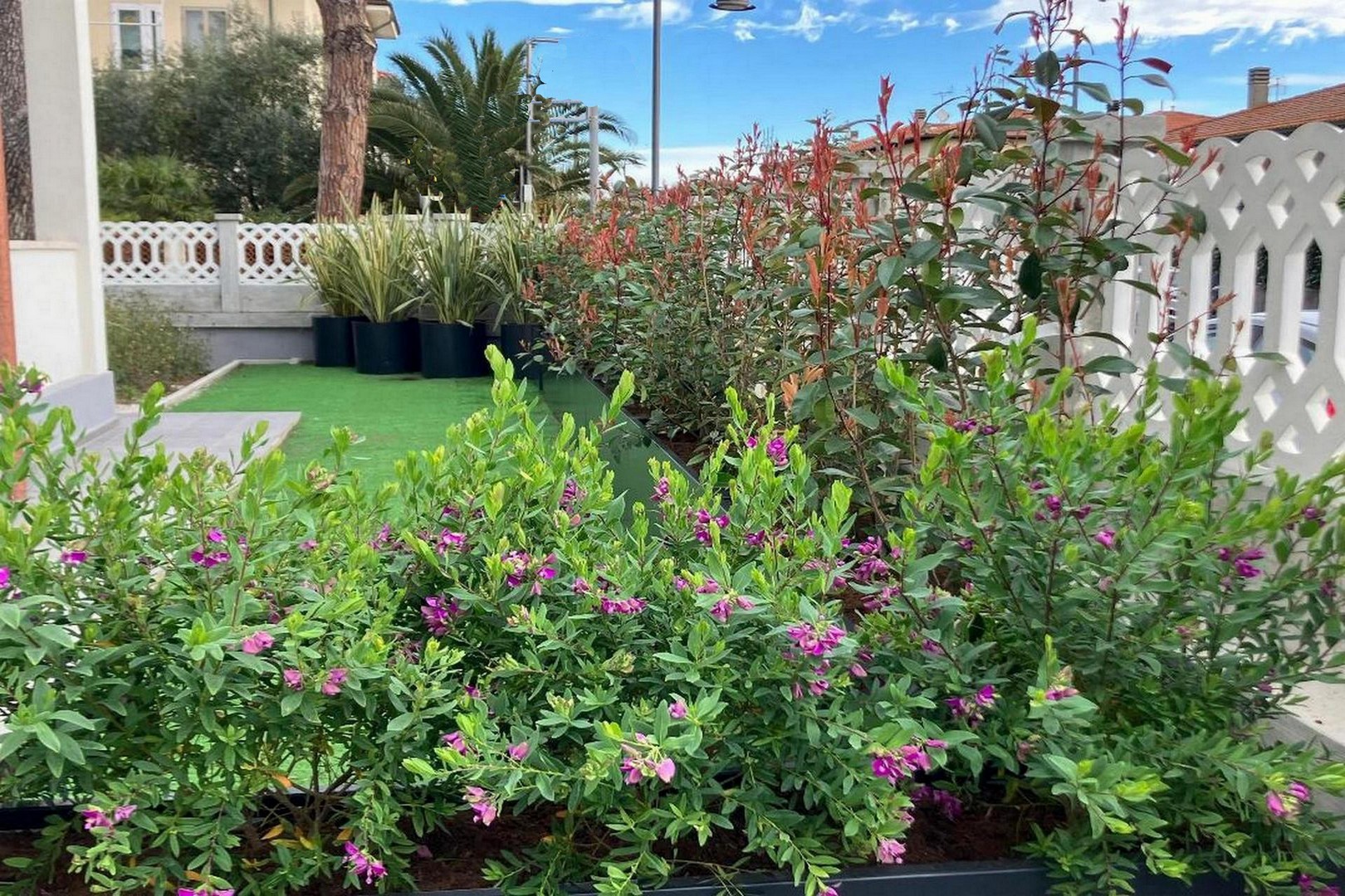 Giardino appartamento Elicriso Villa Ari San Vincenzo