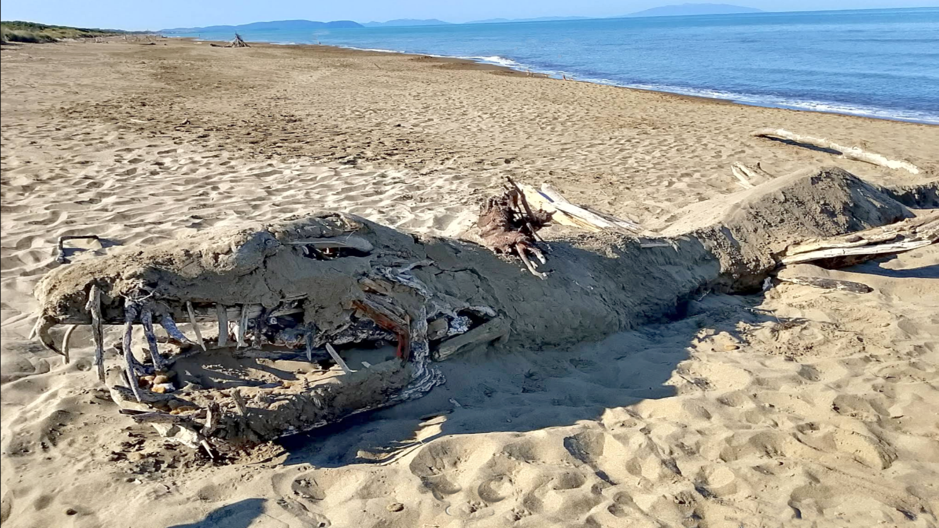 Spiaggia Conchiglia sud