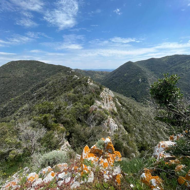 foto panoramica monte romitorio san carlo comune di san vincenzo