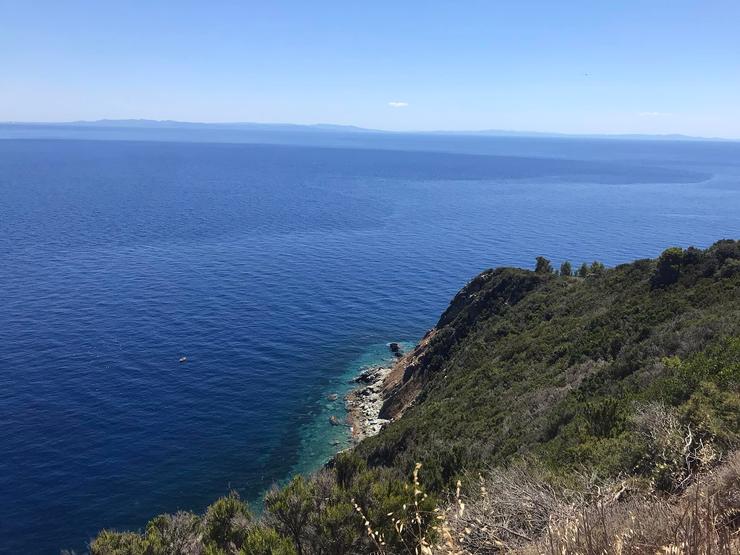 foto panorama della costa isola di gorgona