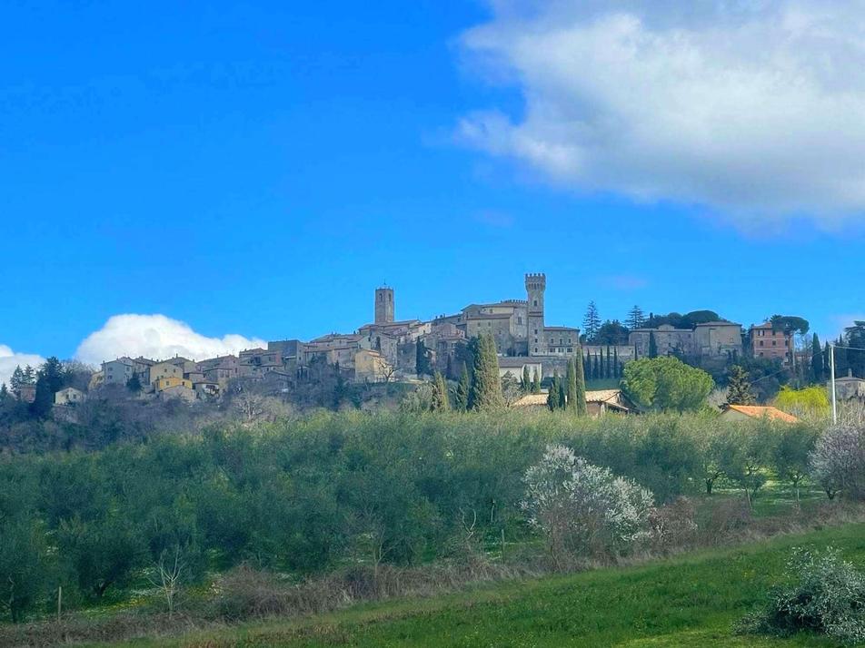 Casale Marittimo panorama del paese