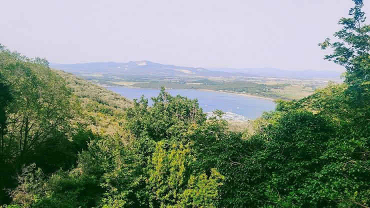 Populonia Alta Panorama