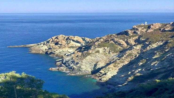 foto vista panoramica isola di gorgona
