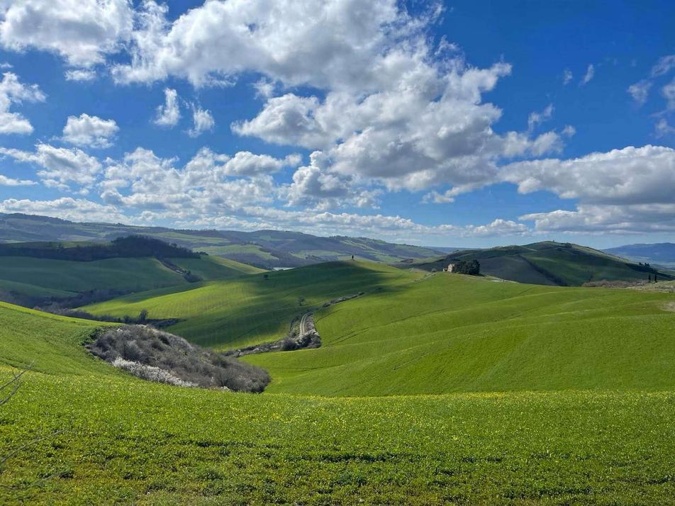 Casale Marittimo panorama collinare