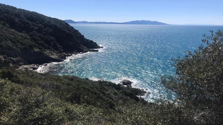 foto panorama con vista Isola d'Elba