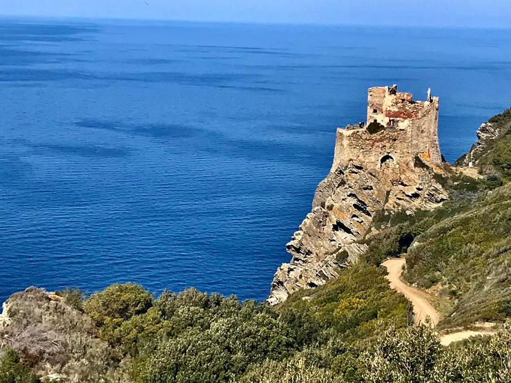 foto panoramica dalla torre all'isola di gorgona